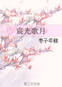 宸光歌月