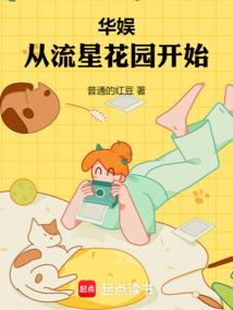 华娱从流星花园开始