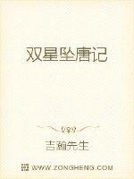 双星坠唐记