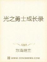 光之勇士成长录